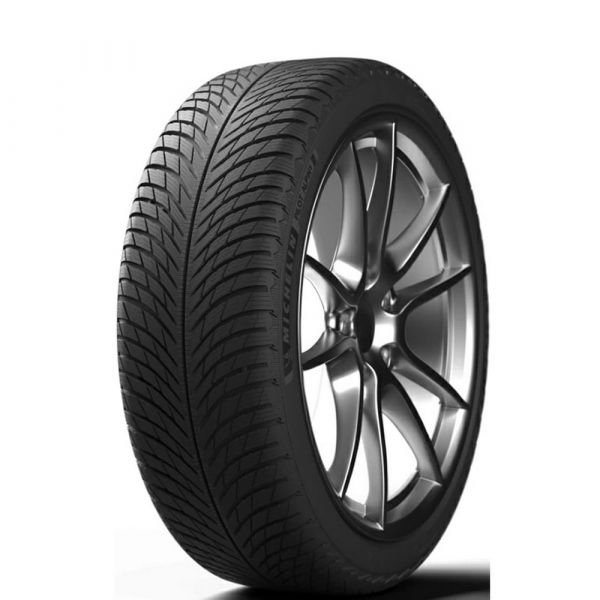 Шина MICHELIN 315/30 R21 [105] V PILOT ALPIN 5 XL